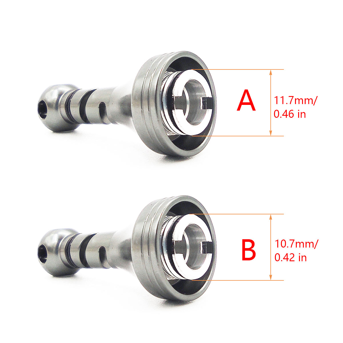 Supporto per maniglia per muli - Daiwa Reel Bg recensione e prezzo